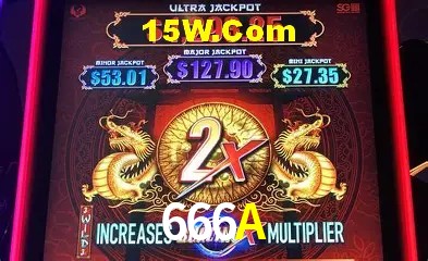 666A - Customer Support
